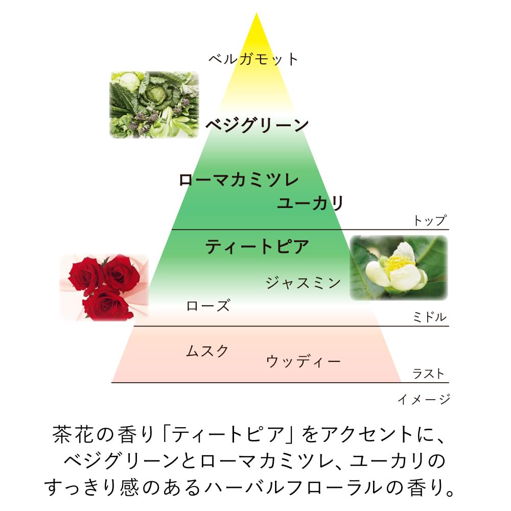Amazon.co.jp: KANEBO(カネボウ) スキン ハーモナイザー 180ml 化粧水